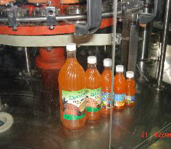 cut_label4 cut_label4